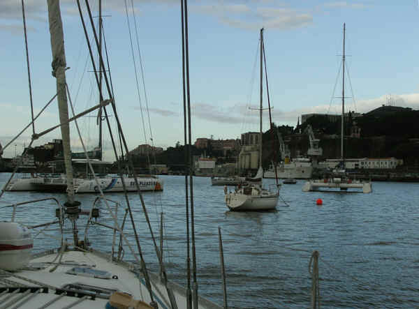 Hafen von Funchal